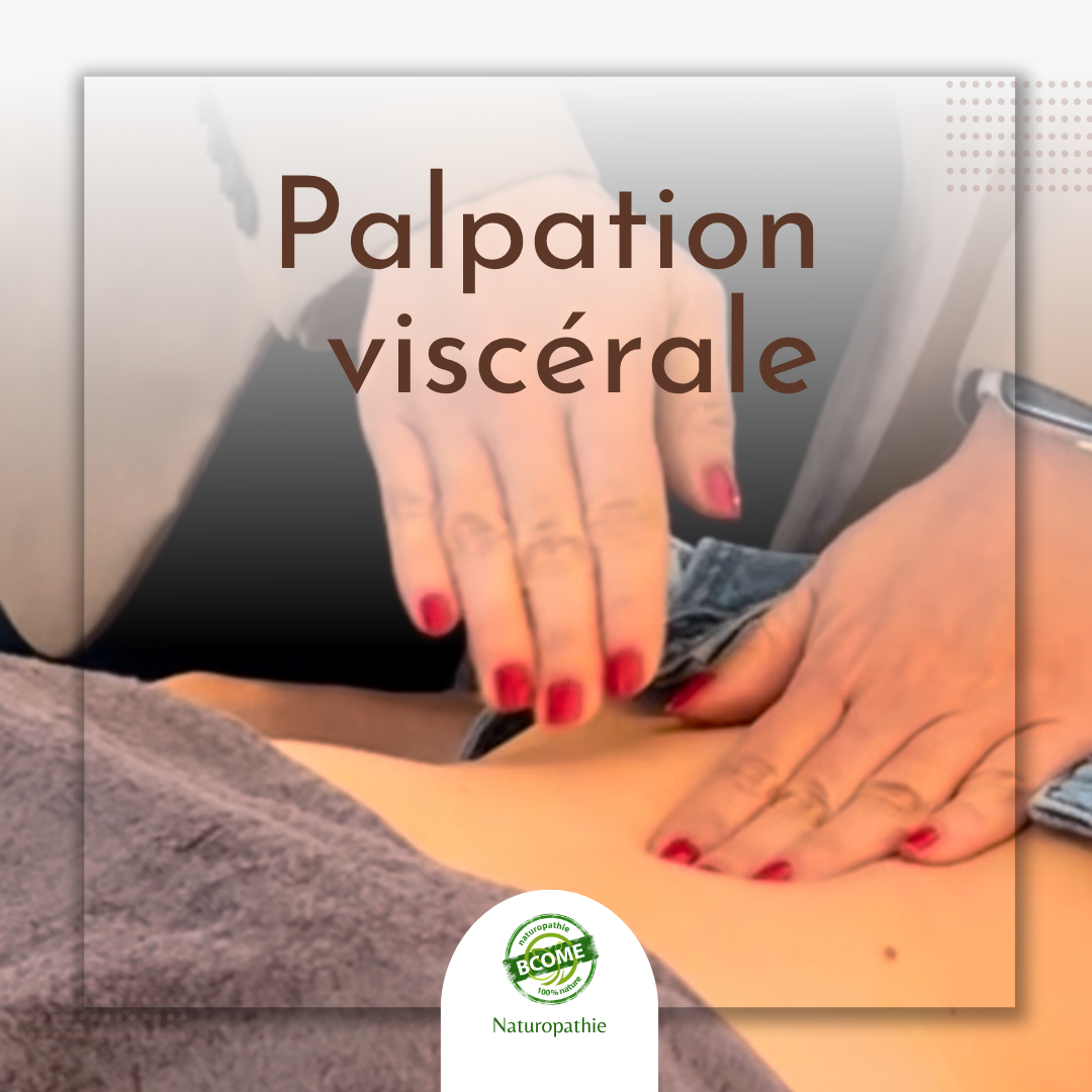 Palpation viscérale